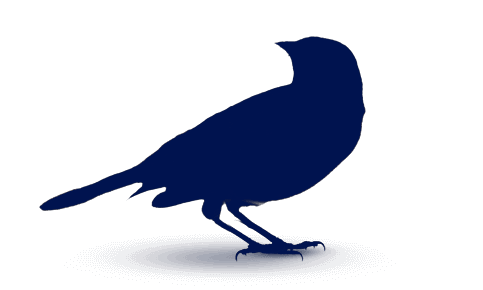 Oriole Textile Logo